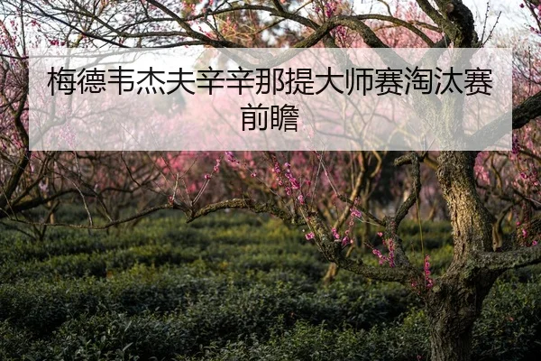 梅德韦杰夫辛辛那提大师赛淘汰赛前瞻